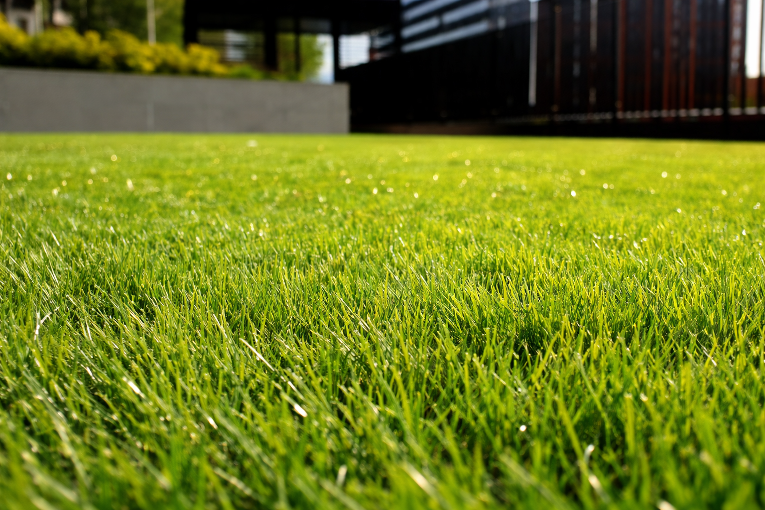 Lawn care services